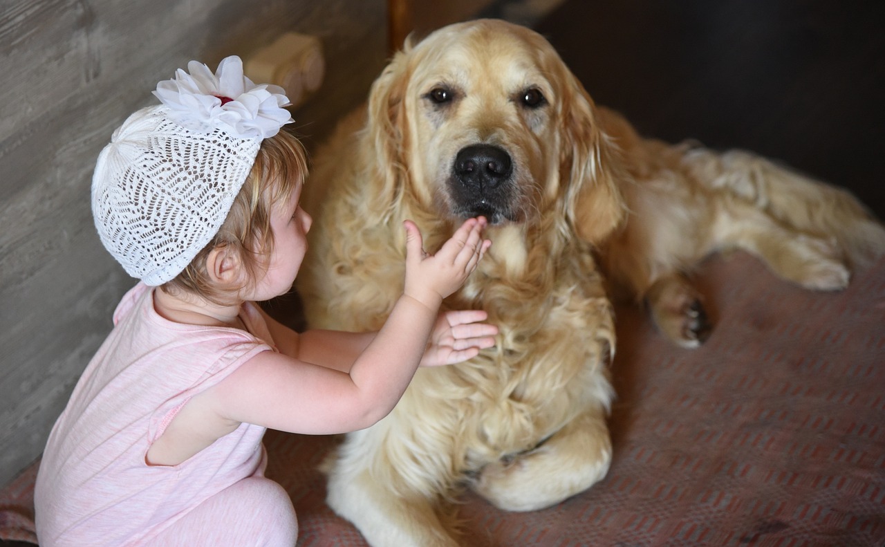 10 Best Dog Breeds for Families with a Baby