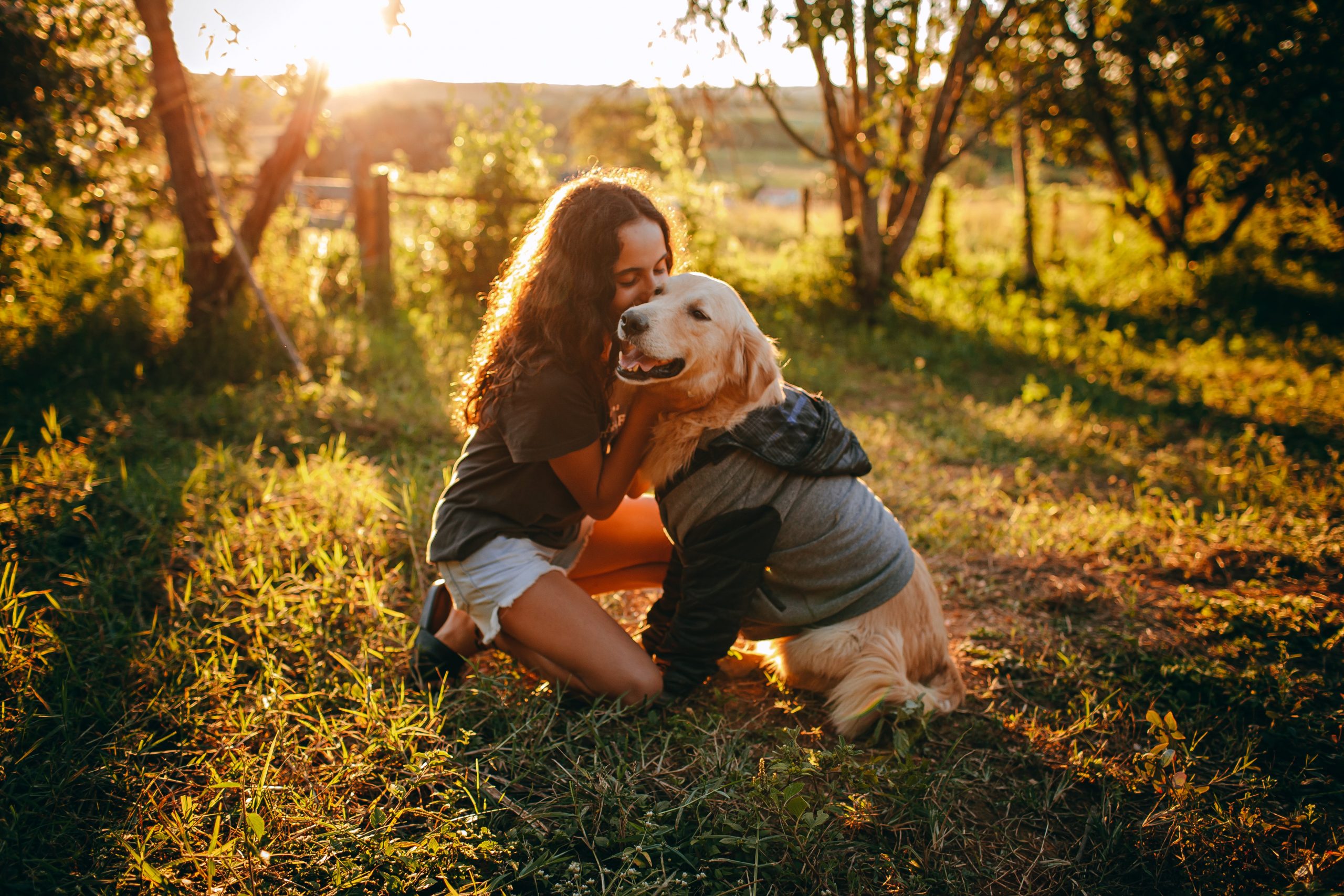 15 Dog Breeds Known for Their Patience with Young Children