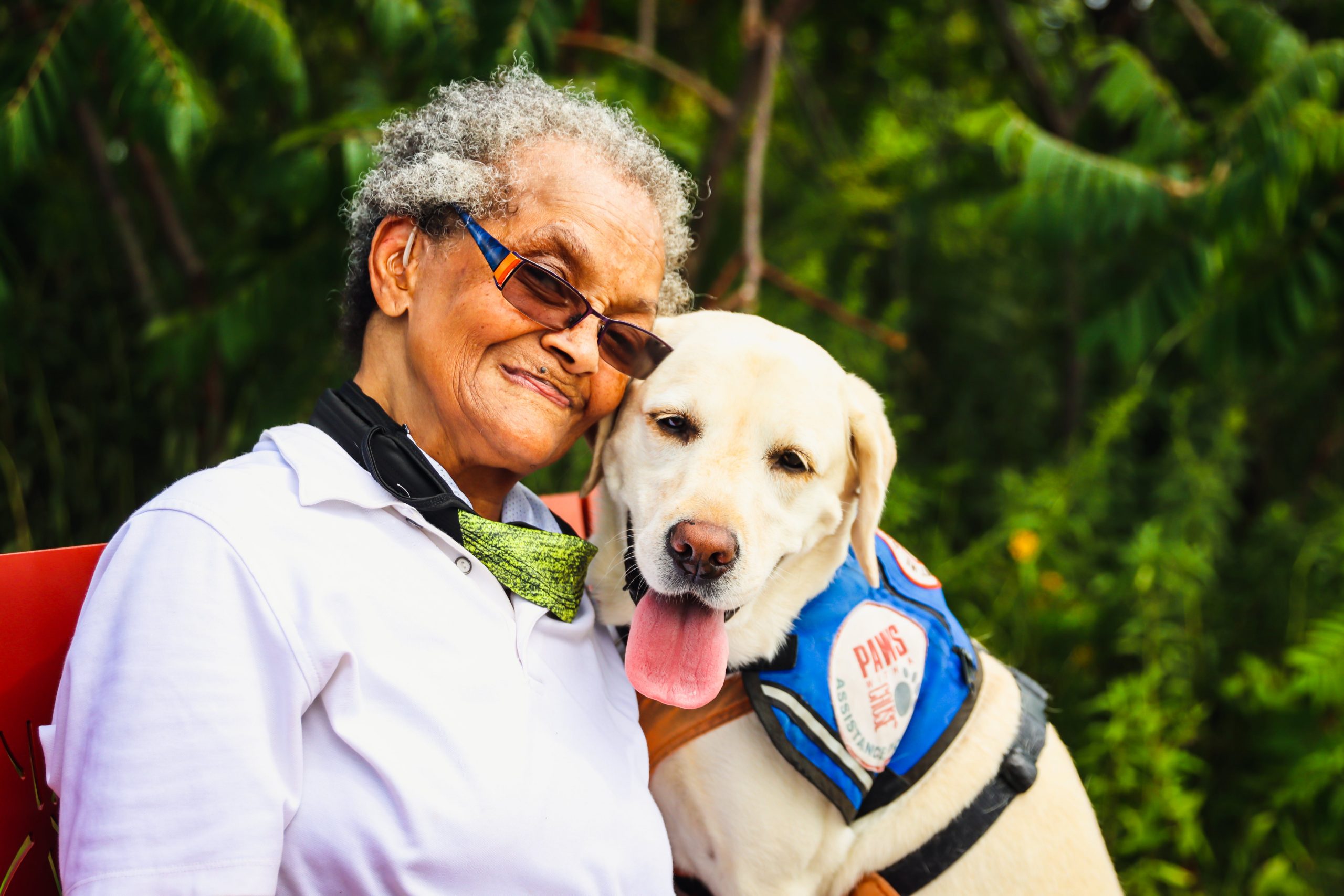 10 Dog Breeds Known for Their Gentle Approach with the Elderly