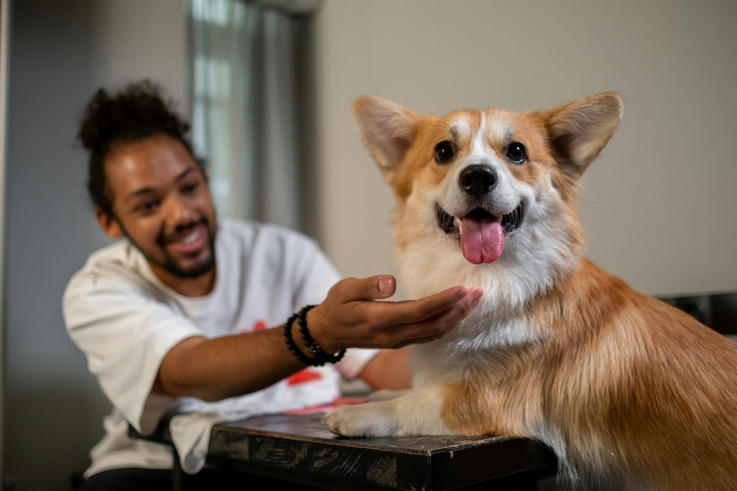 10 Dog Breeds Most Likely to Photobomb Your Perfect Shot