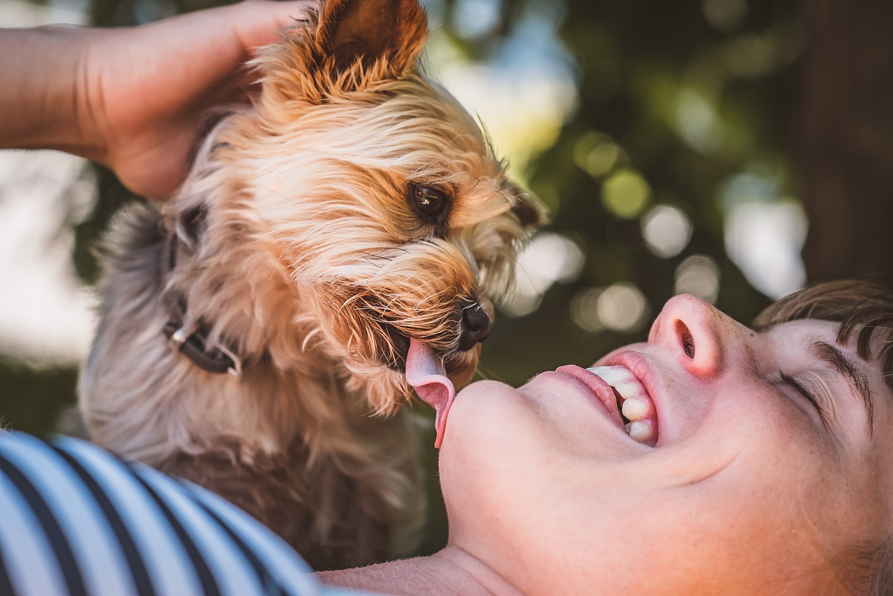 10 Dog Breeds That Form the Strongest Bonds with Their Owners