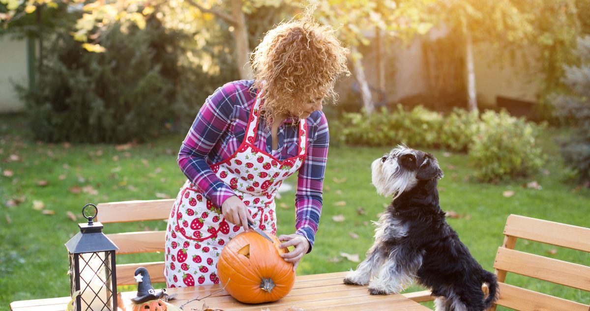 How to Prepare your Dog for Halloween