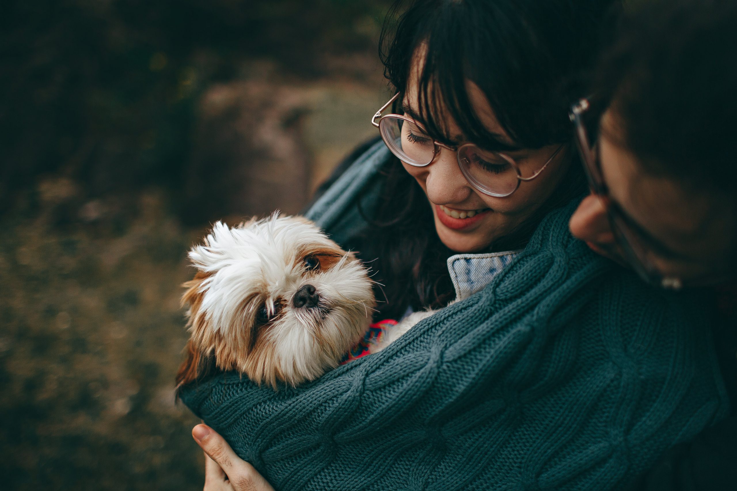 8 Dog Breeds That Seem to Love Being the Center of Attention