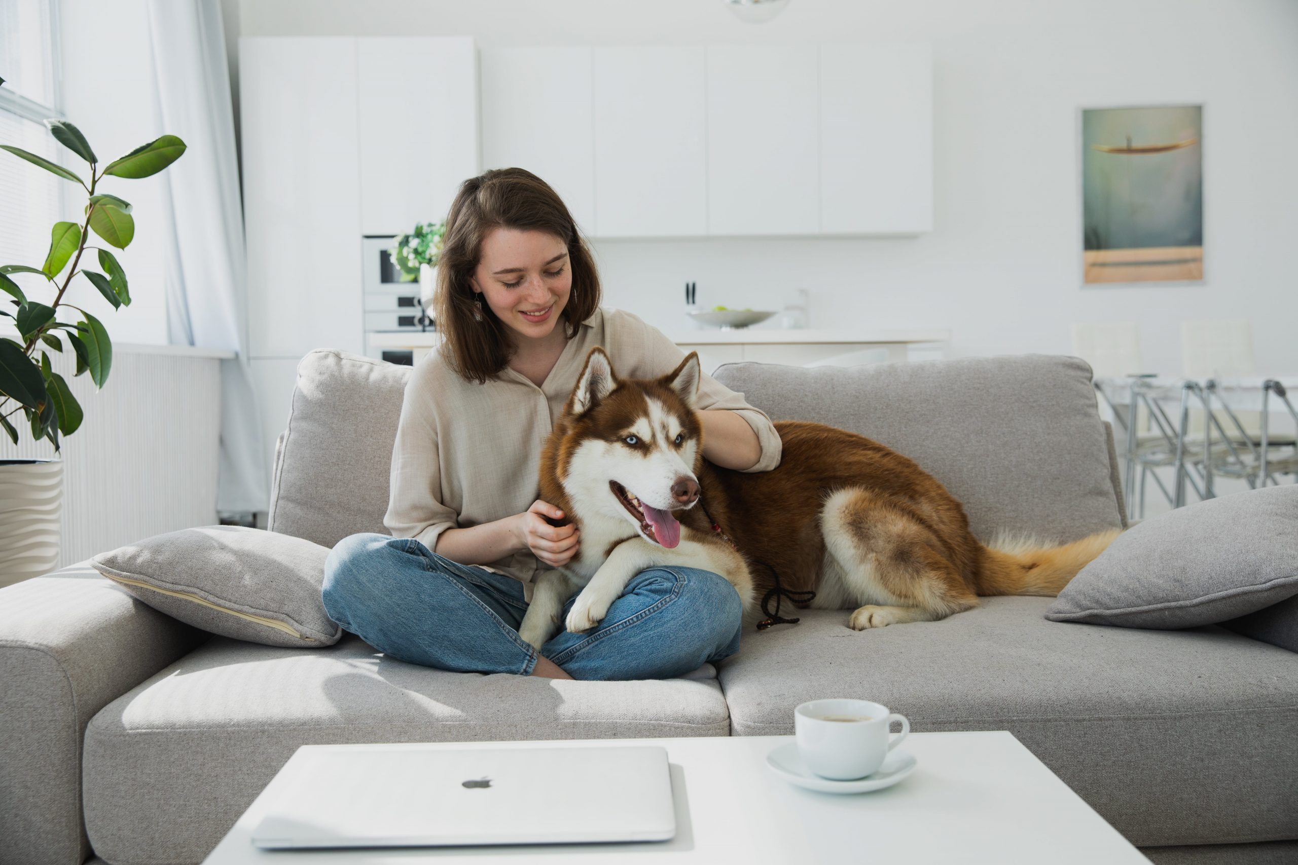 Why Dogs Lean on People: Affection or Something More?