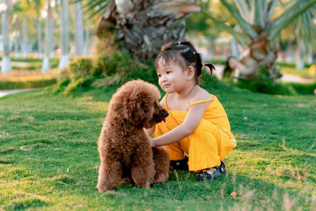 10 Best Dog Breeds For A Child With Autism