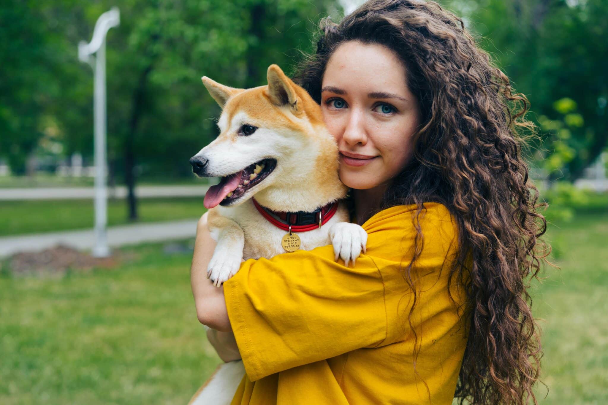 13 Dog Breeds That Form Unbreakable Bonds With One Specific Person