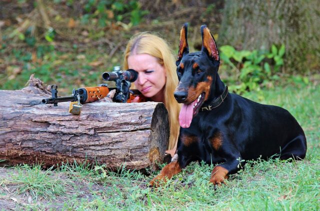 The 11 Most Protective Dog Breeds for Home Security