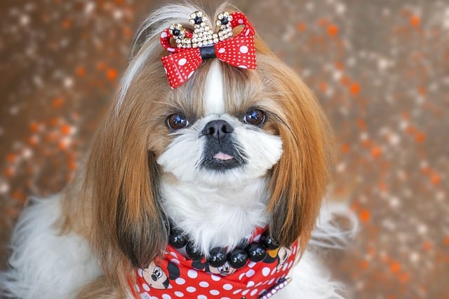 We Rate The 12 Dog Breeds Who Make The Cutest Puppies