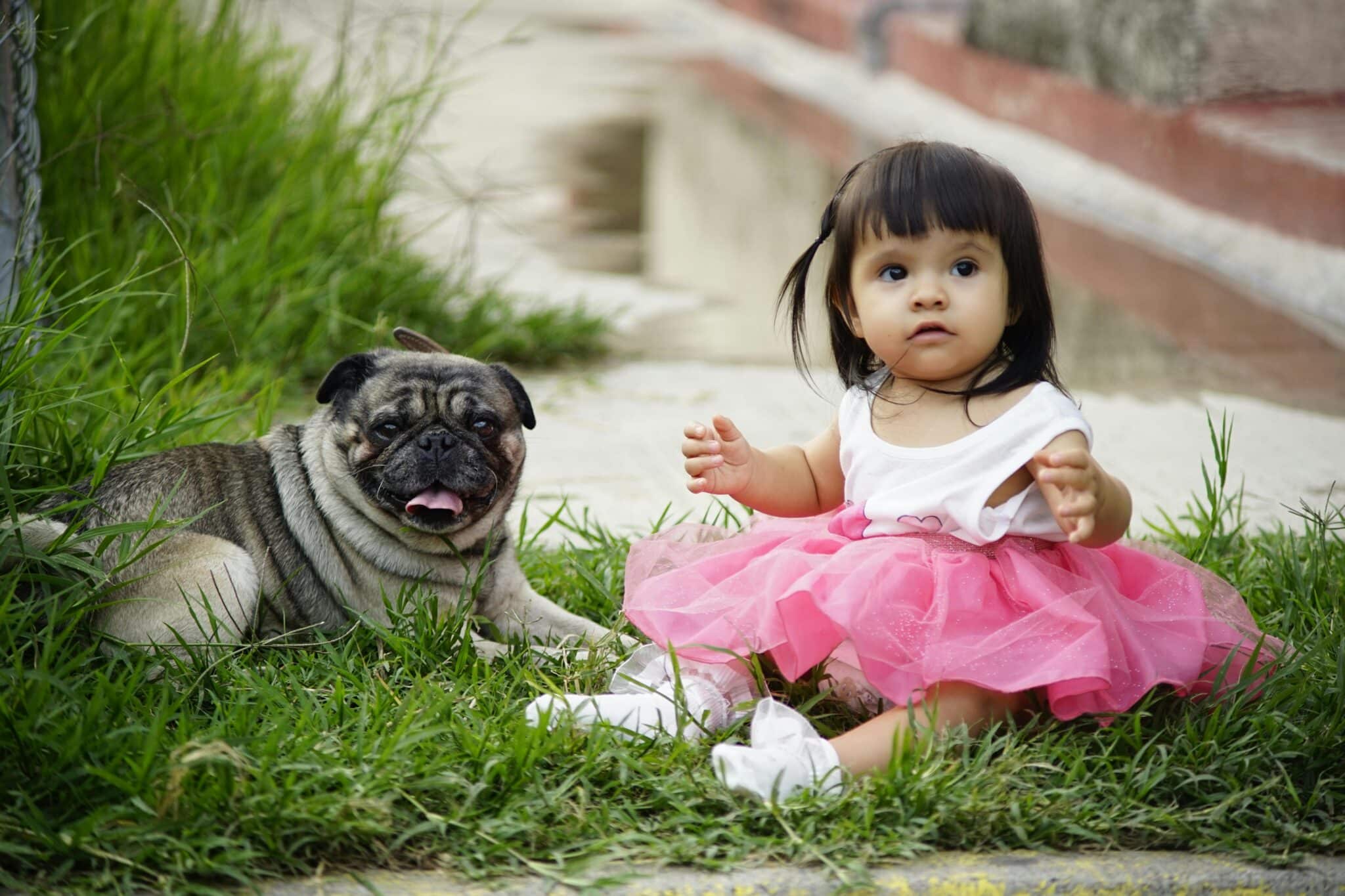 12 Best Dog Breeds for Kids Under 5 Years Old